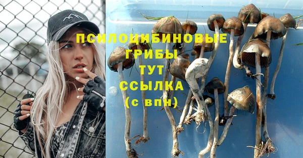 прущая мука Бронницы