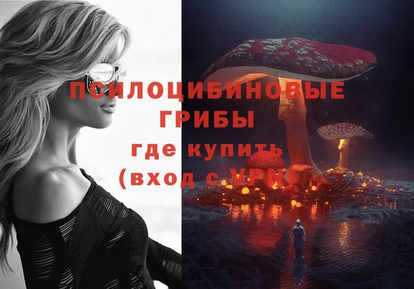 кокаин перу Богданович