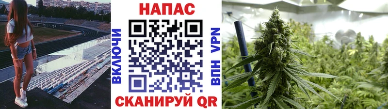 Купить закладки Нытва Бошки Шишки планчик
